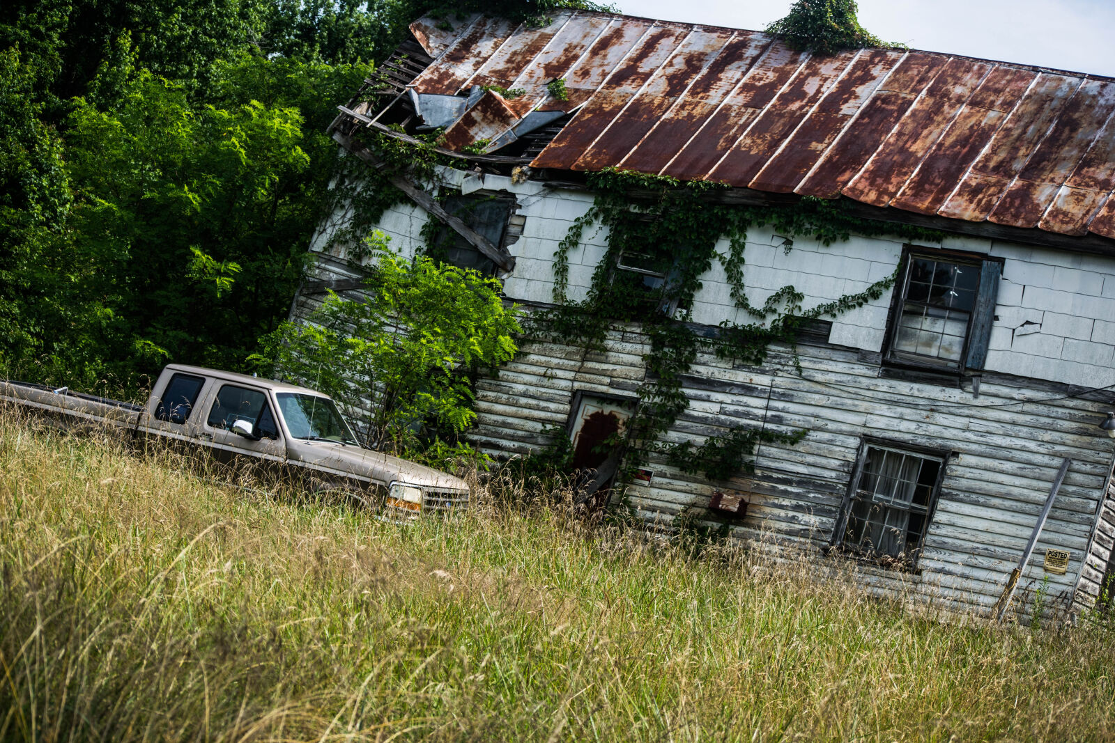 Nikon D3300 sample photo. Abandoned, overgrown photography
