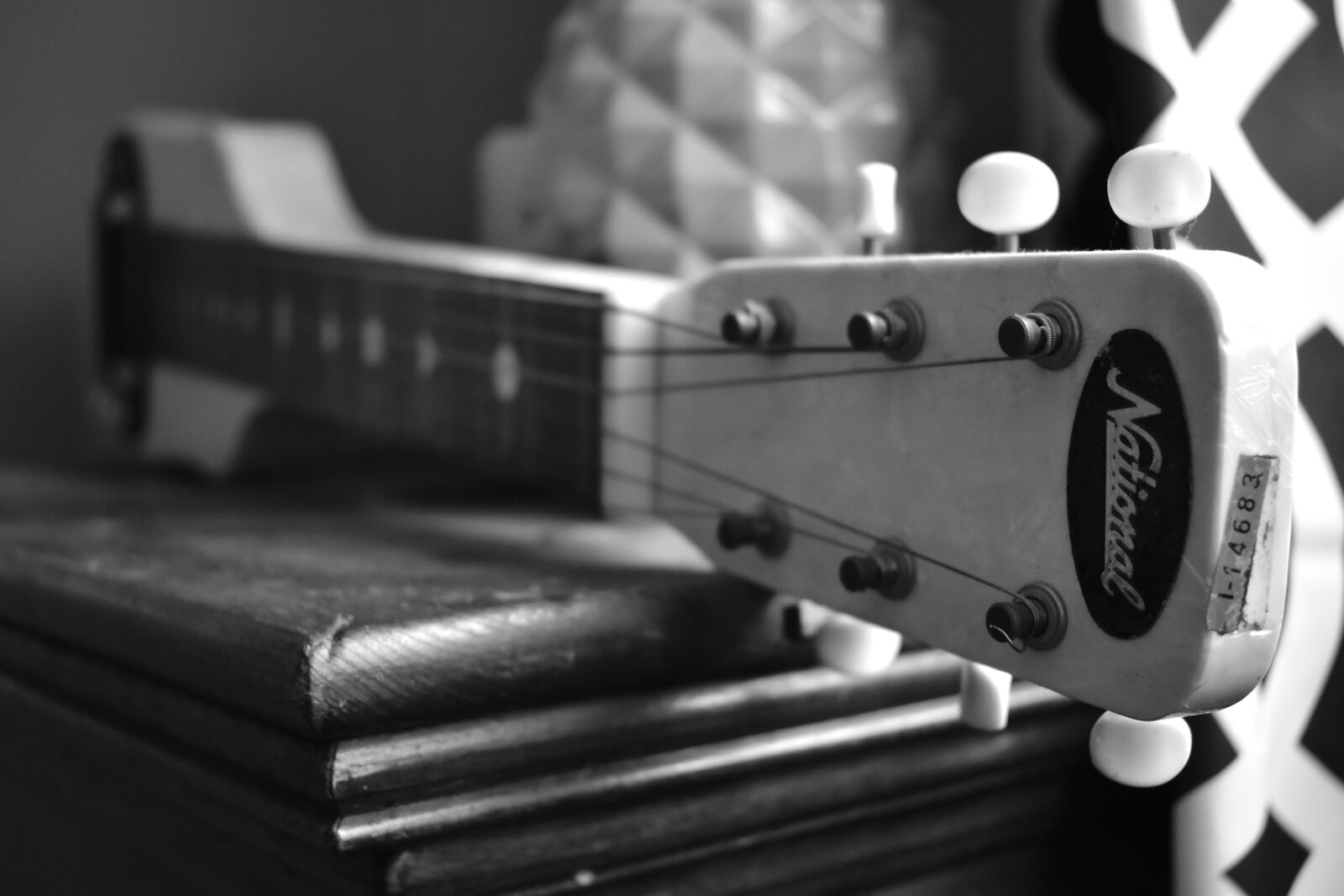 Nikon D3500 sample photo. Steel guitar, national, blues photography