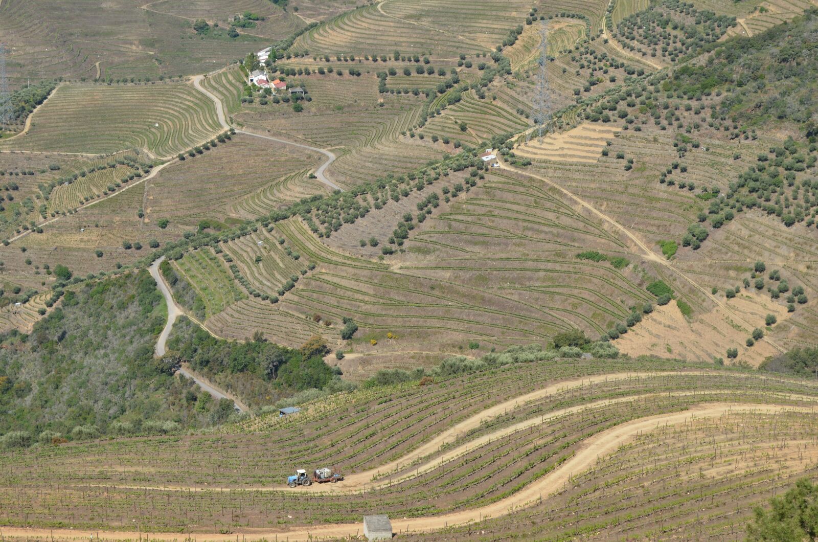 Nikon D5100 sample photo. Portugal, douro, duorotal photography