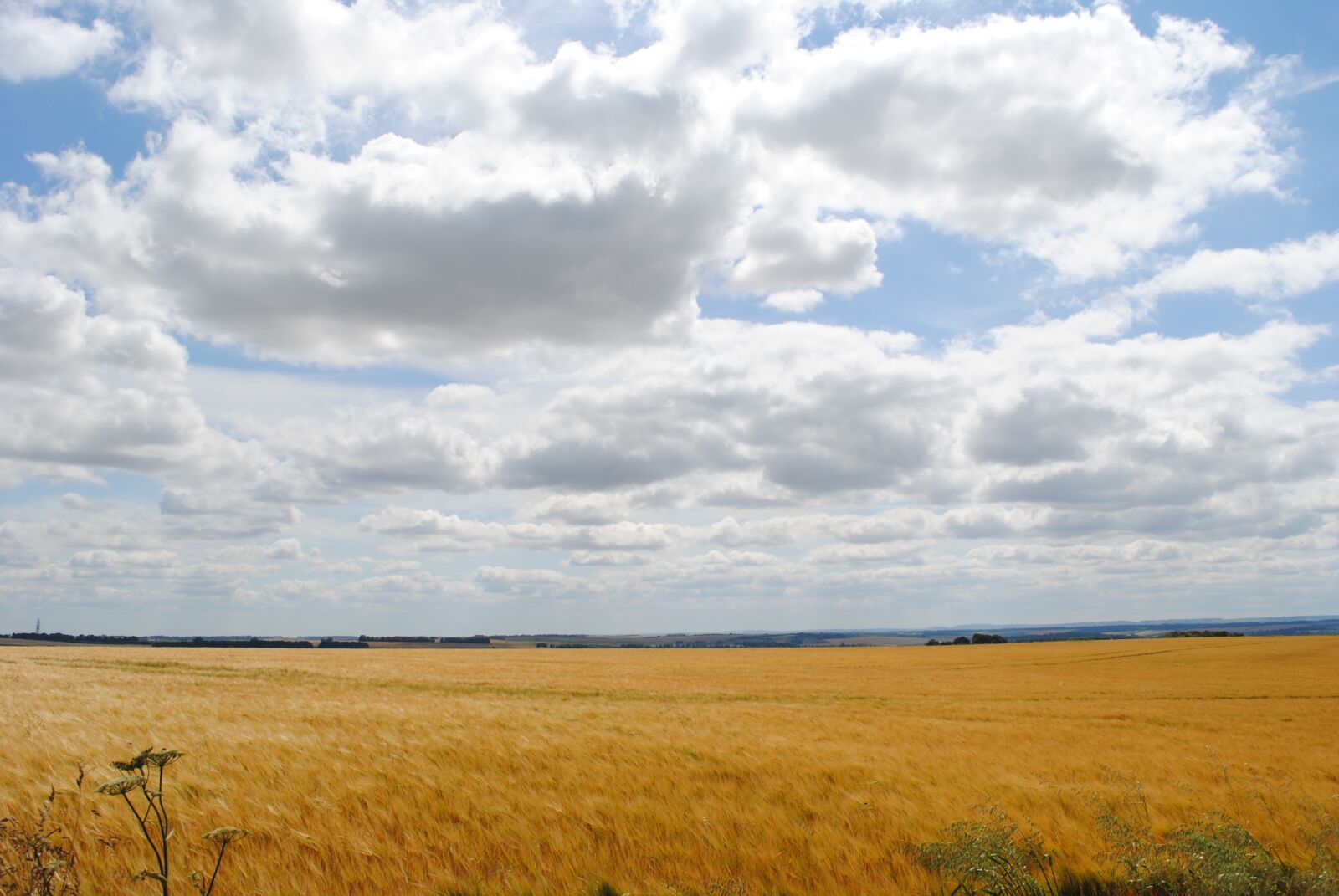Nikon D3000 sample photo. Clouds, nature, landscape photography