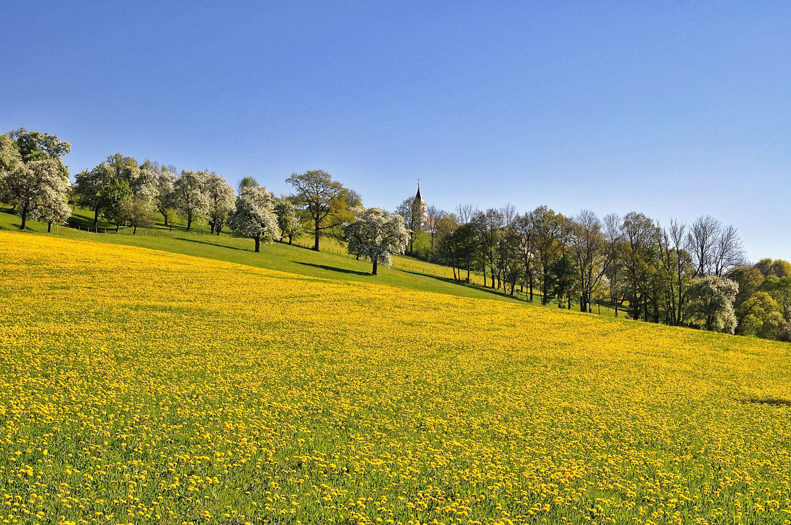 Nikon D90 sample photo. Nature, landscape, meadow photography