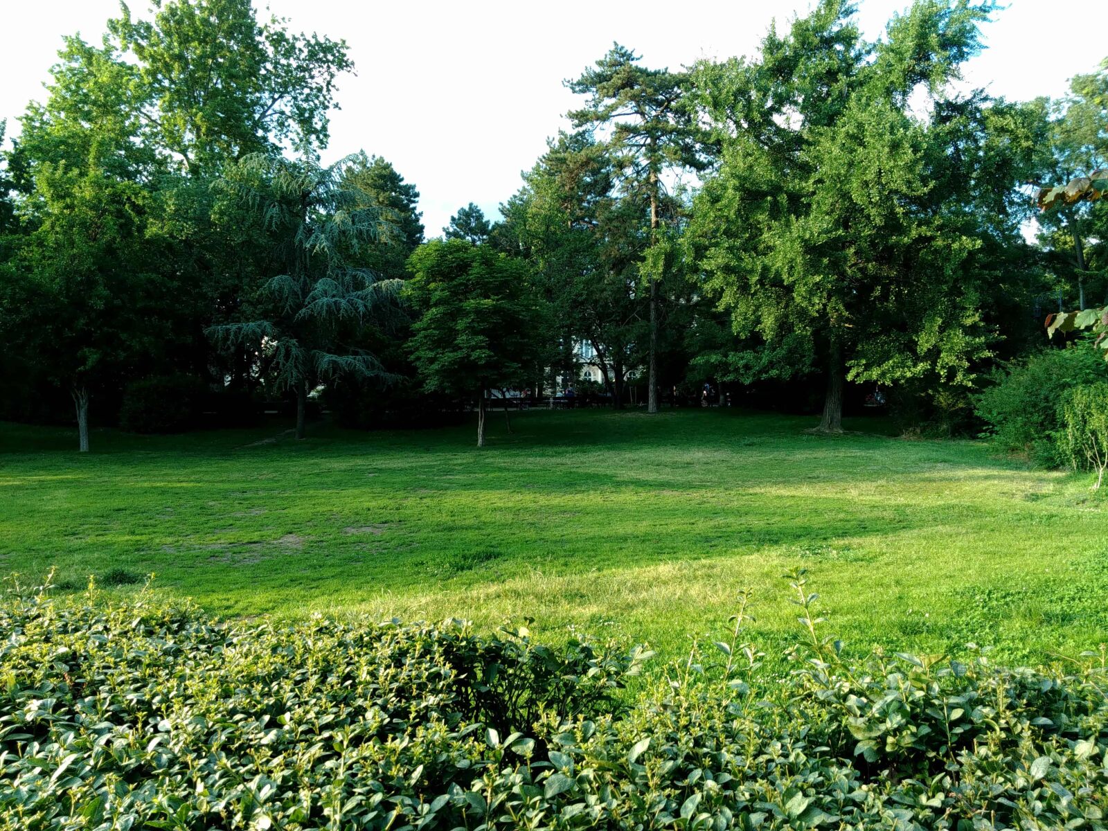 Lenovo S60-A sample photo. Environment, garden, leaf, landscape photography