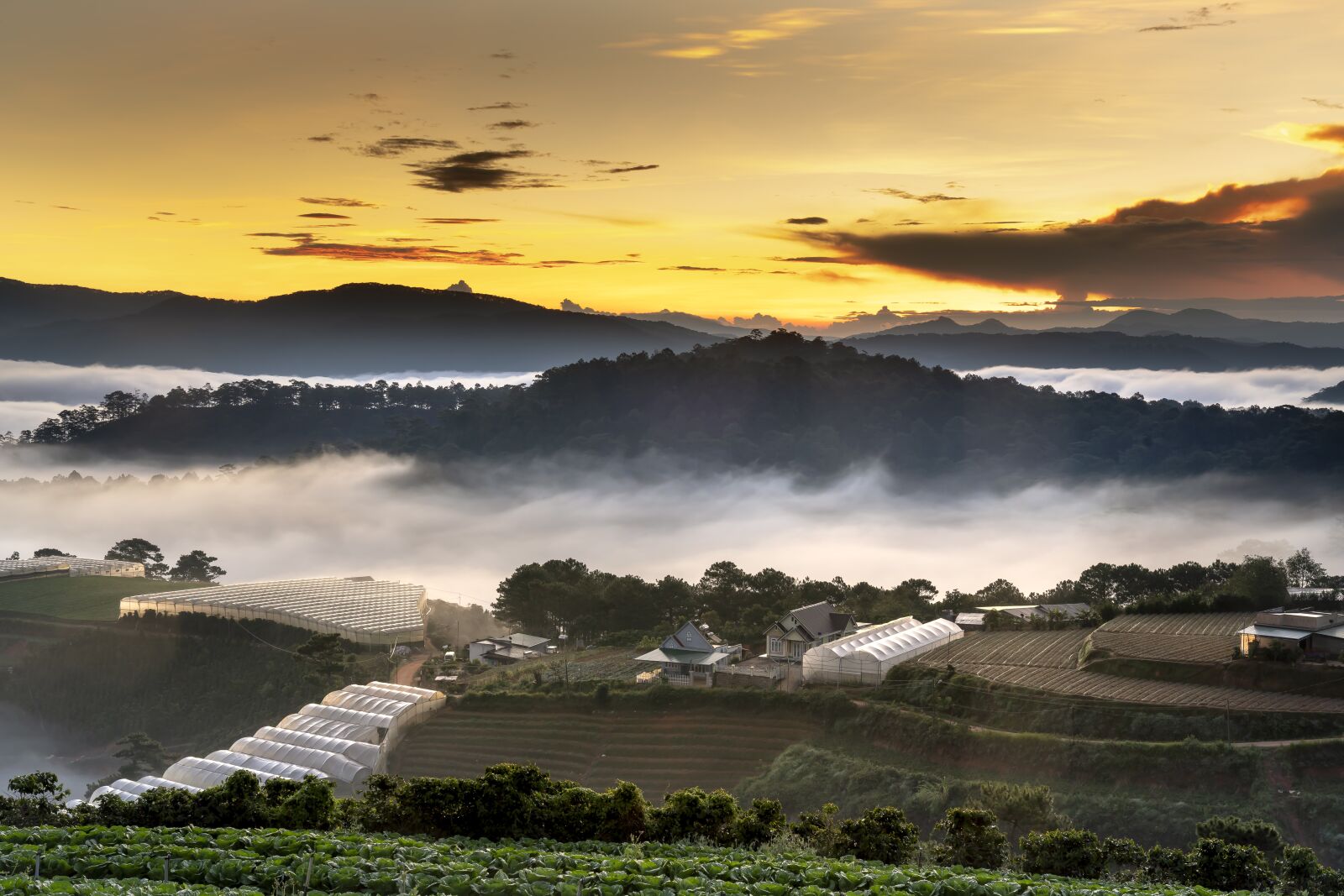Sony FE 24-70mm F2.8 GM sample photo. Dalat, nice, clouds photography