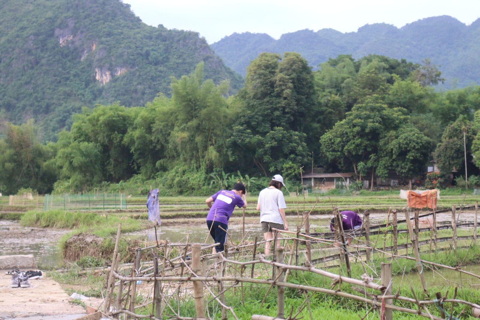 Canon EOS 70D sample photo