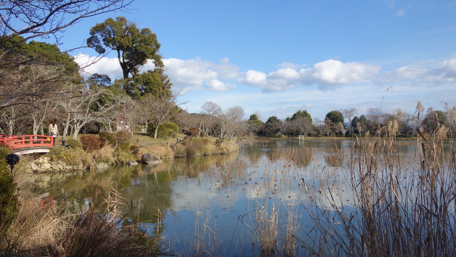 Sony Cyber-shot DSC-RX100 sample photo. Japanese, grounds, kyoto photography