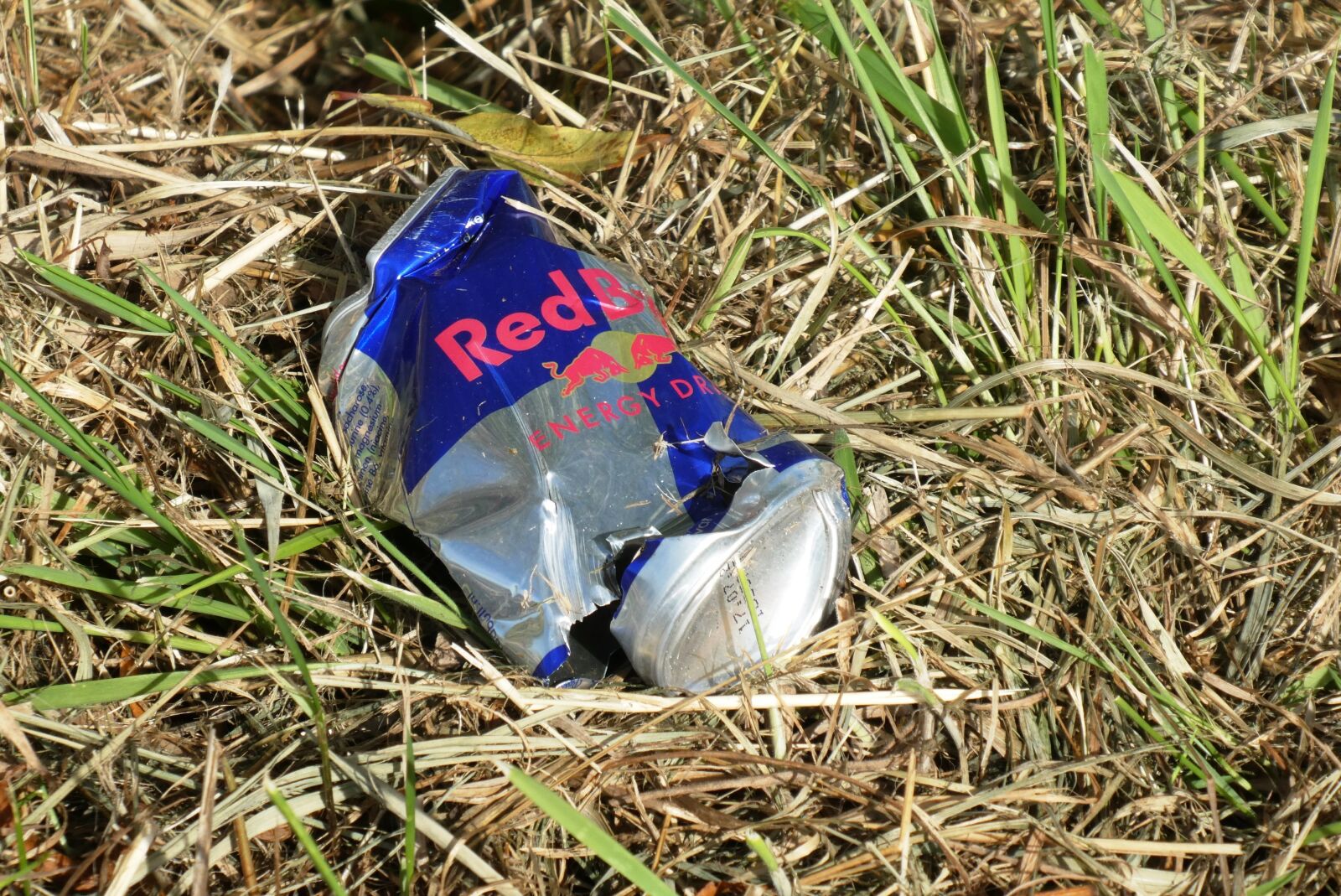 Panasonic Lumix DC-ZS70 (Lumix DC-TZ90) sample photo. Waste, grass, disposable photography
