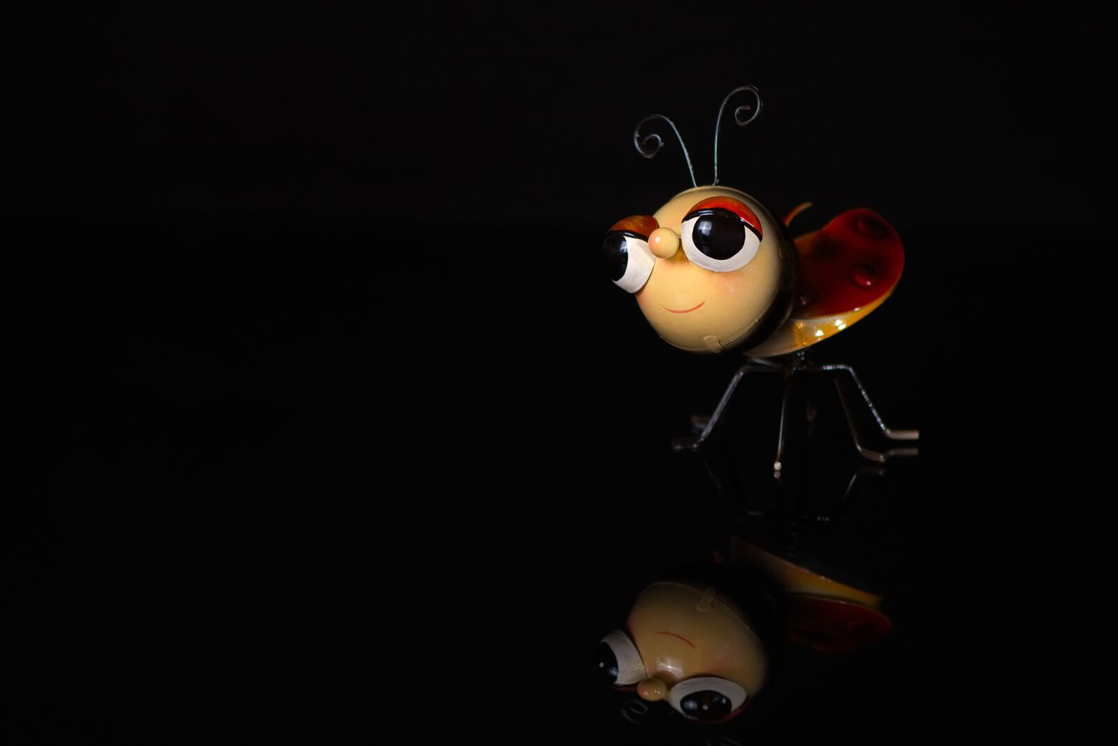 Nikon D7200 sample photo. Ladybug, cute, figure photography