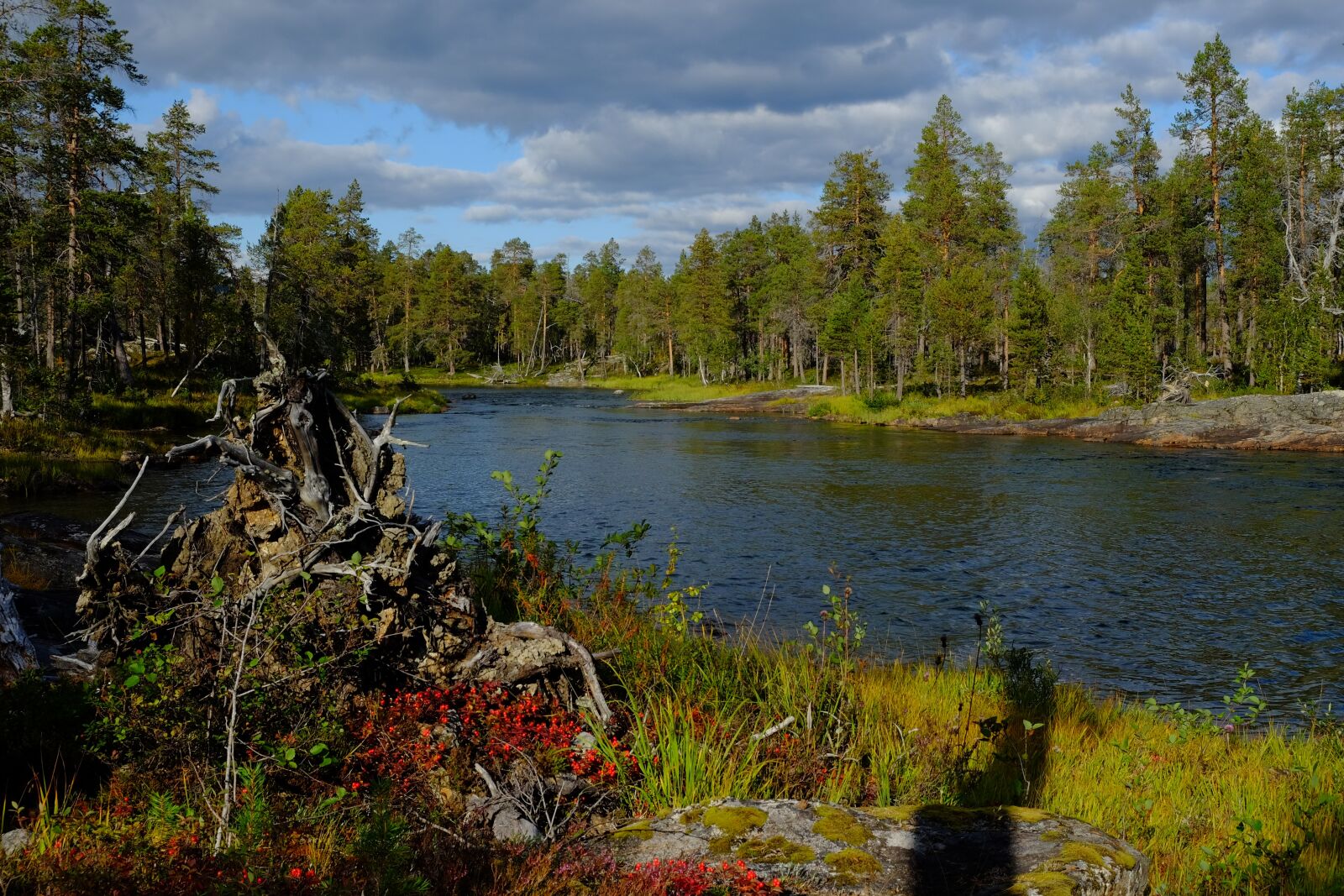 Fujifilm X-E2S sample photo. Finland, lapland, national park photography