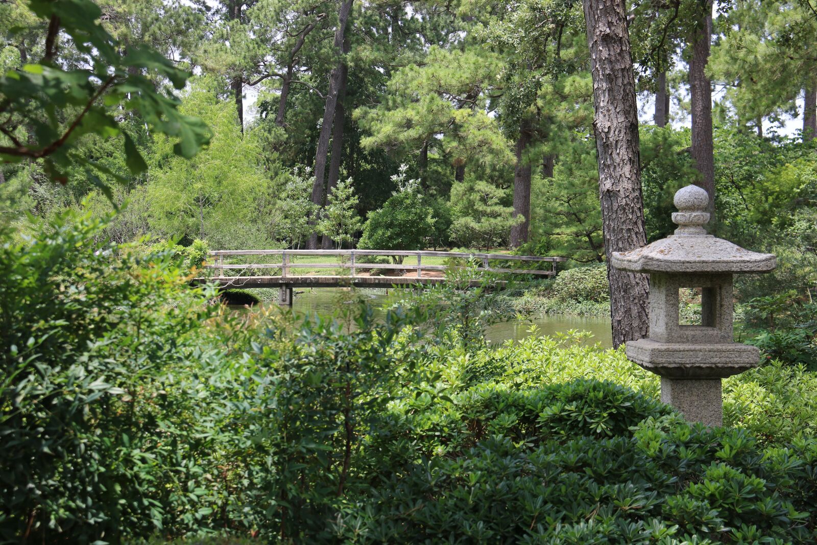 Canon EOS 750D (EOS Rebel T6i / EOS Kiss X8i) sample photo. Japanese, park, nature photography