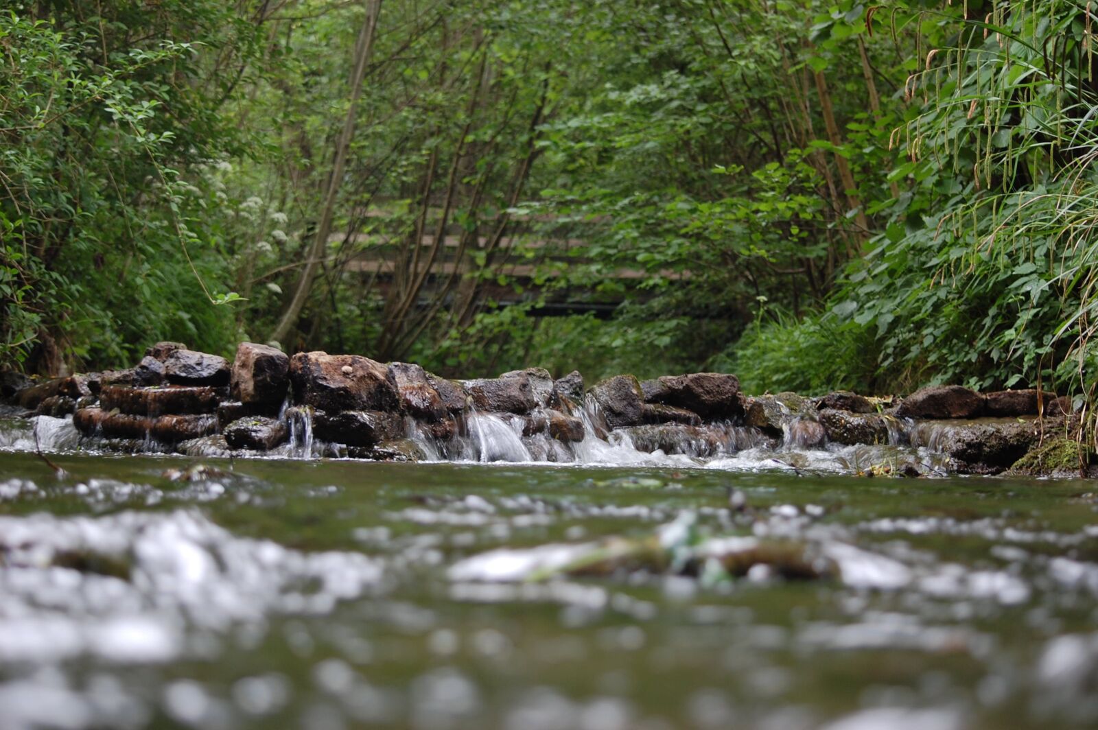 Nikon D40 sample photo. Bach, river, stones photography