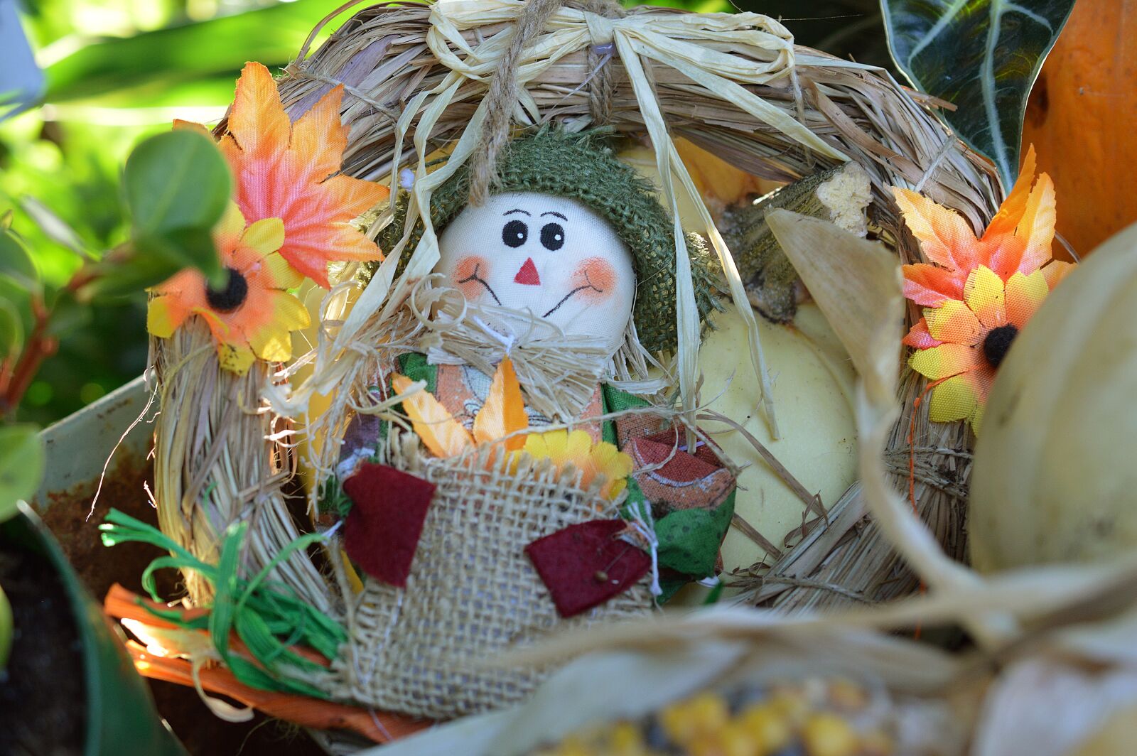 Nikon D3200 sample photo. Scarecrow, wreath, decoration photography