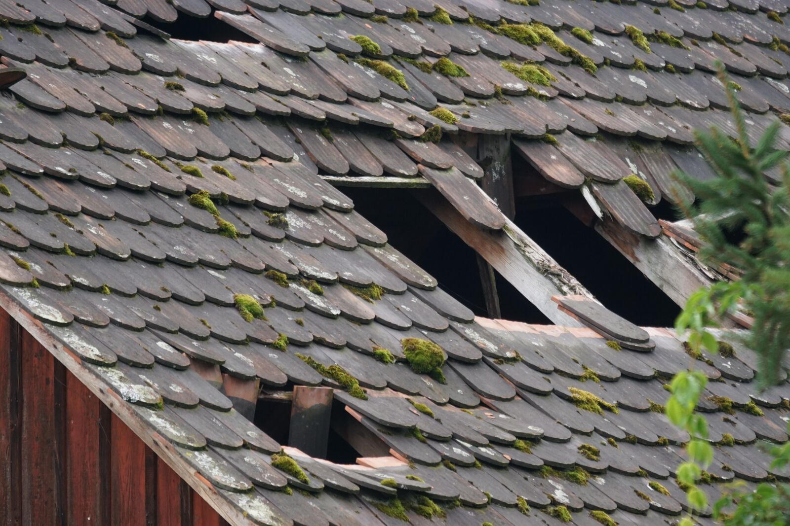 Sony 70-400mm F4-5.6 G SSM sample photo. Abandoned place, truss, timber photography