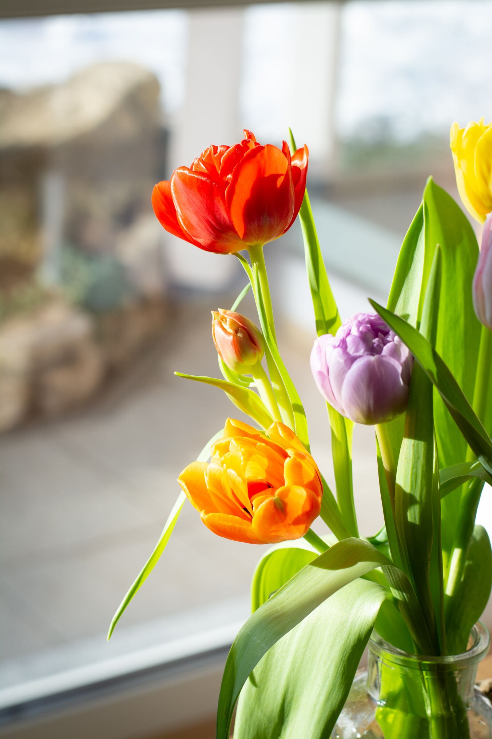 Nikon D7100 sample photo. Flowers, tulips, colorful photography