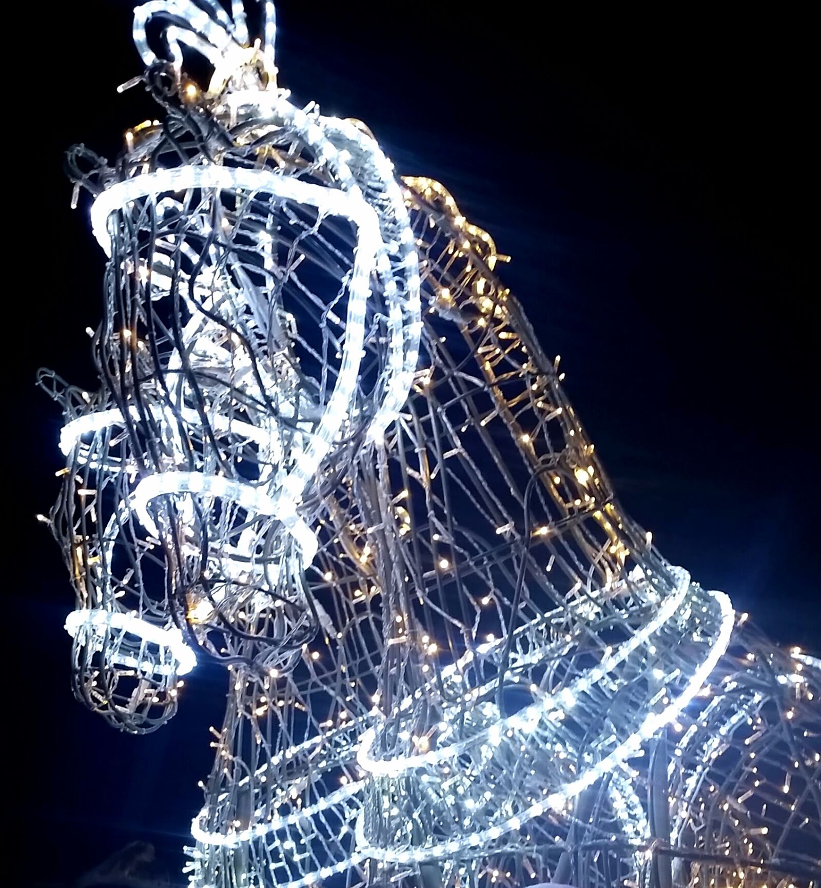 Samsung Galaxy S5 sample photo. Theme, light photography