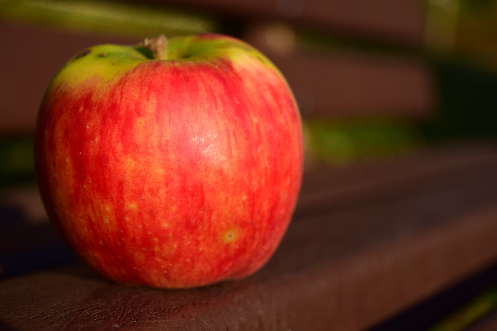 Nikon D3300 sample photo. Apple, bank, close up photography