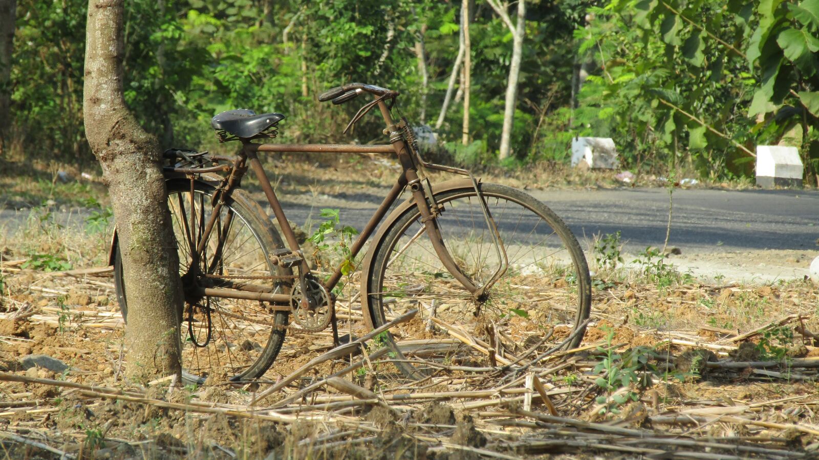 Canon POWERSHOT SX430 IS sample photo. Bike, old bicycle, cycling photography