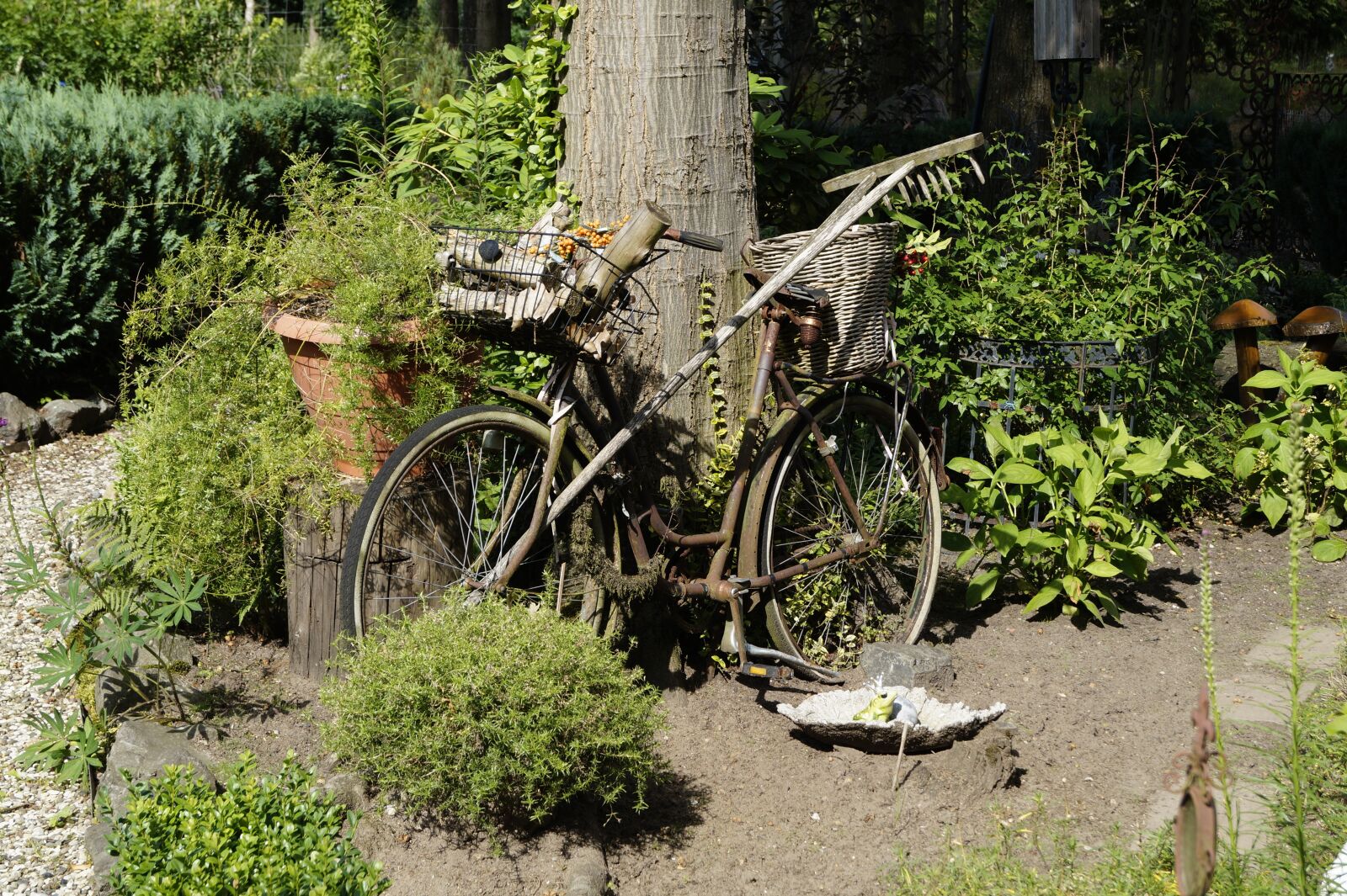 Sony DT 18-55mm F3.5-5.6 SAM II sample photo. Bike, rusty, turned off photography