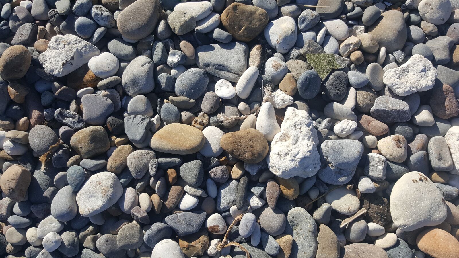 Samsung Galaxy S6 sample photo. Pebble beach, mappleton, yorkshire photography