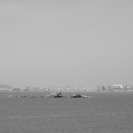 Nikon AF Micro-Nikkor 60mm F2.8D sample photos - ExploreCams