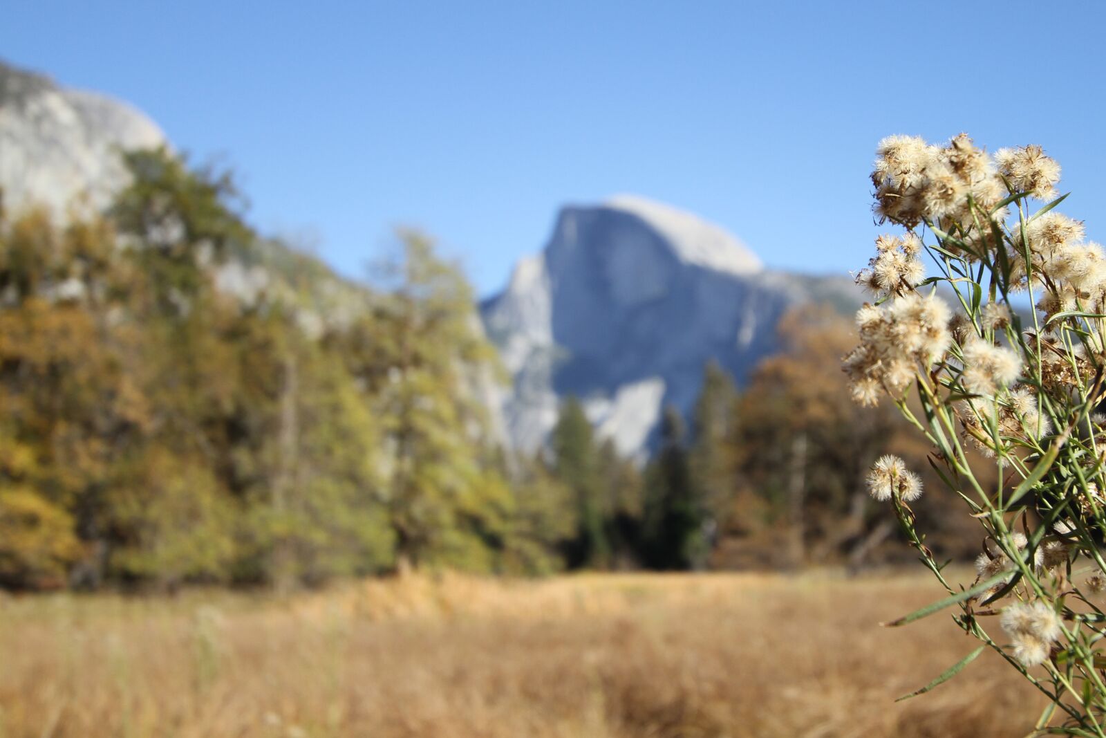 Canon EOS 7D sample photo. Mountain, field, landscape photography