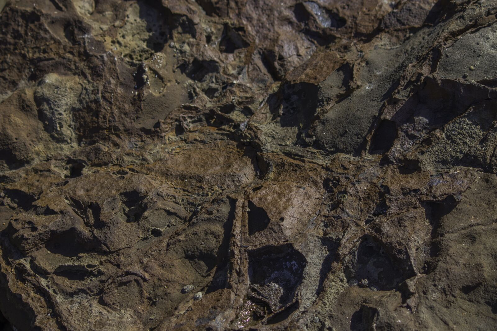 Canon EF-S 55-250mm F4-5.6 IS sample photo. Texture, rock, stone photography