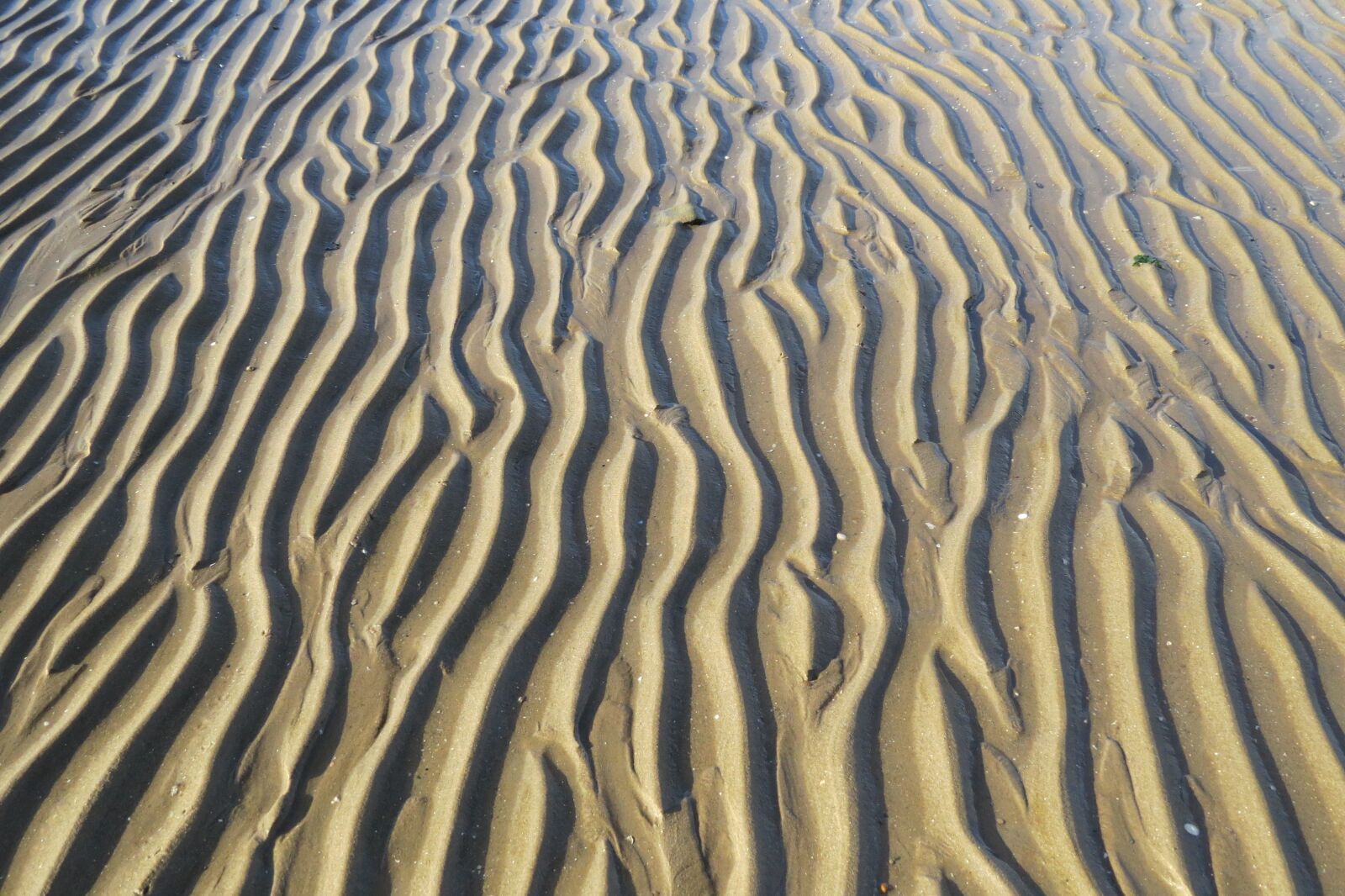Canon PowerShot SX50 HS sample photo. Sand, beach, ridges photography