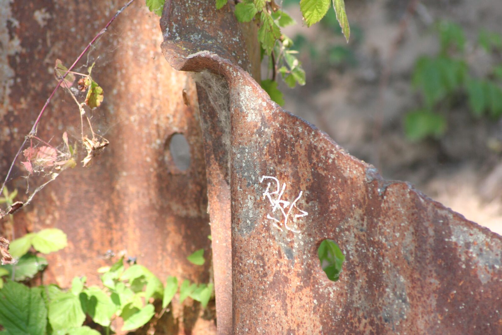 Canon EOS 350D (EOS Digital Rebel XT / EOS Kiss Digital N) sample photo. Old bent rusted sheet photography