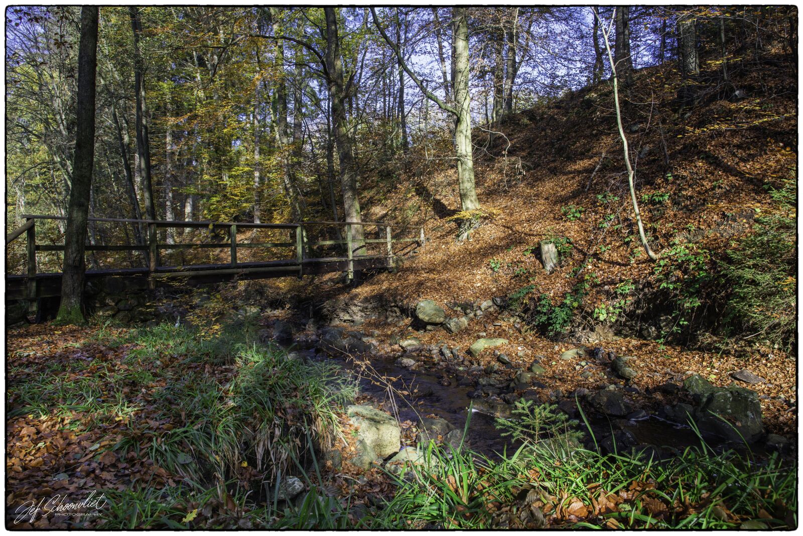 Nikon D850 sample photo. La hoegne, river, water photography