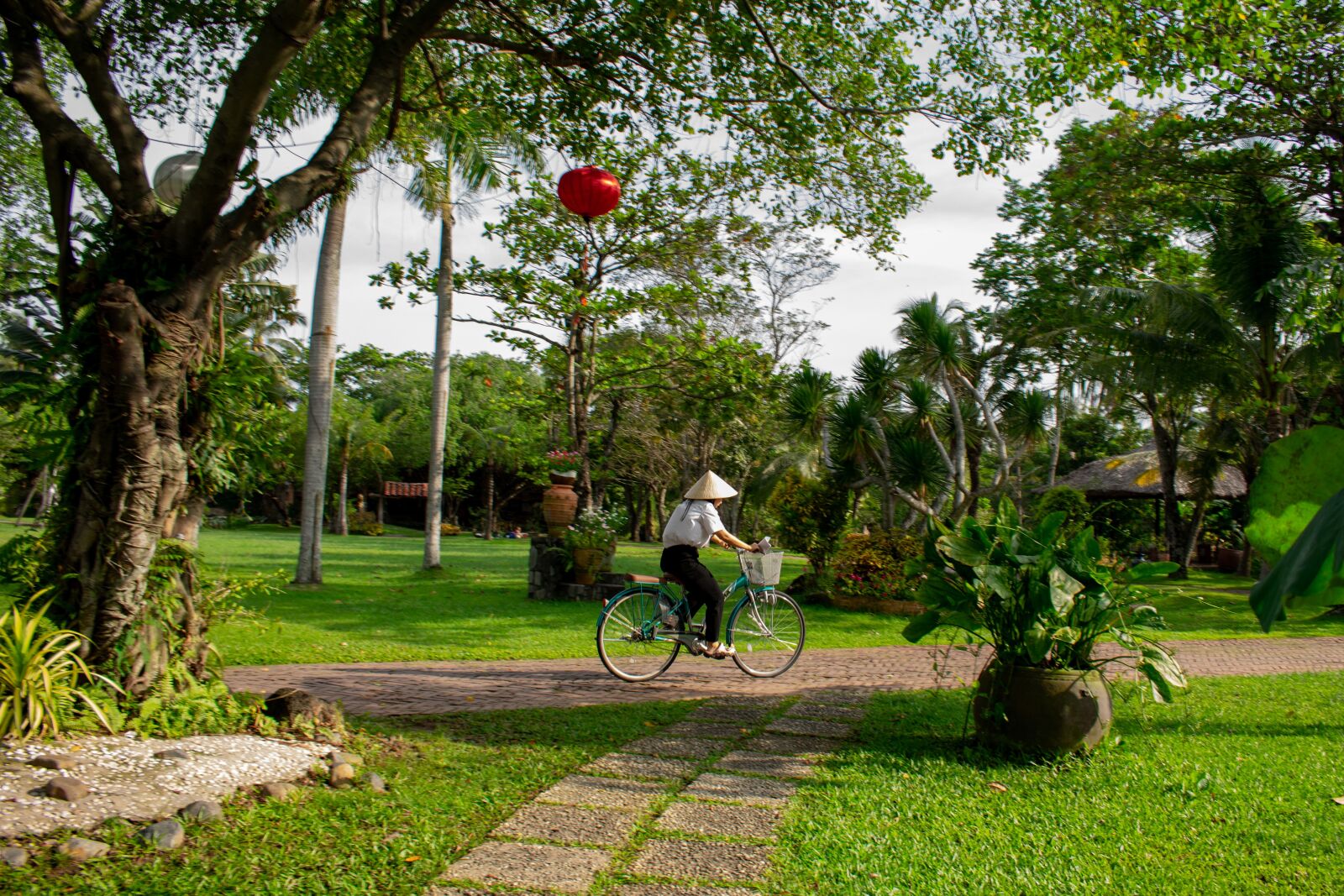 Nikon D3400 sample photo. Bicycle, girl, green photography