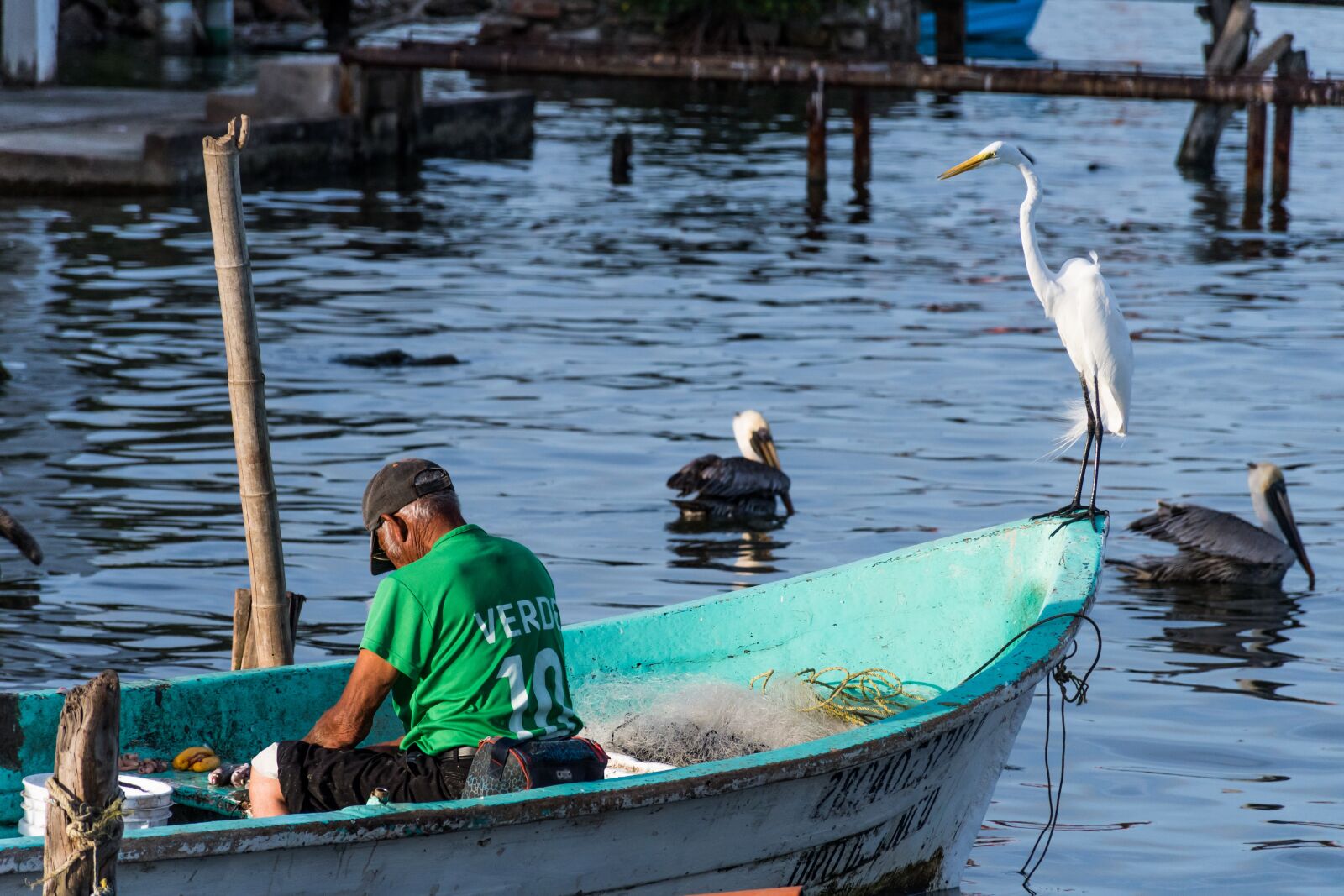 Nikon D7500 sample photo. Fisherman, fish, water photography