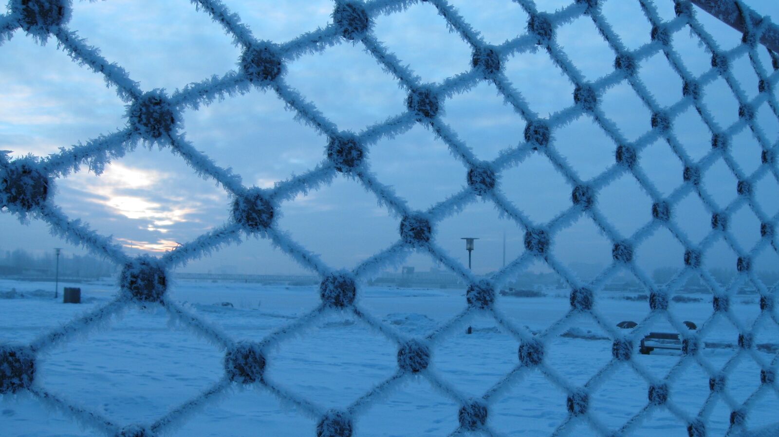 Canon PowerShot A590 IS sample photo. Frost, snow, winter photography