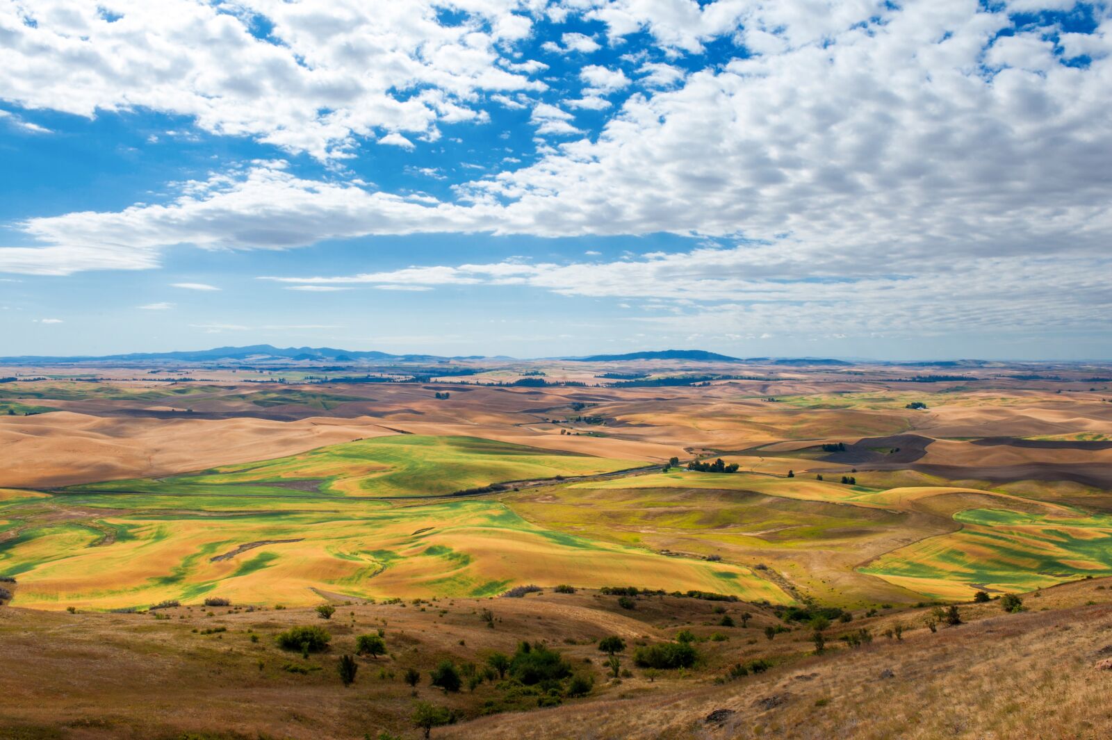 Nikon D700 sample photo. Nature, landscape, panoramic photography