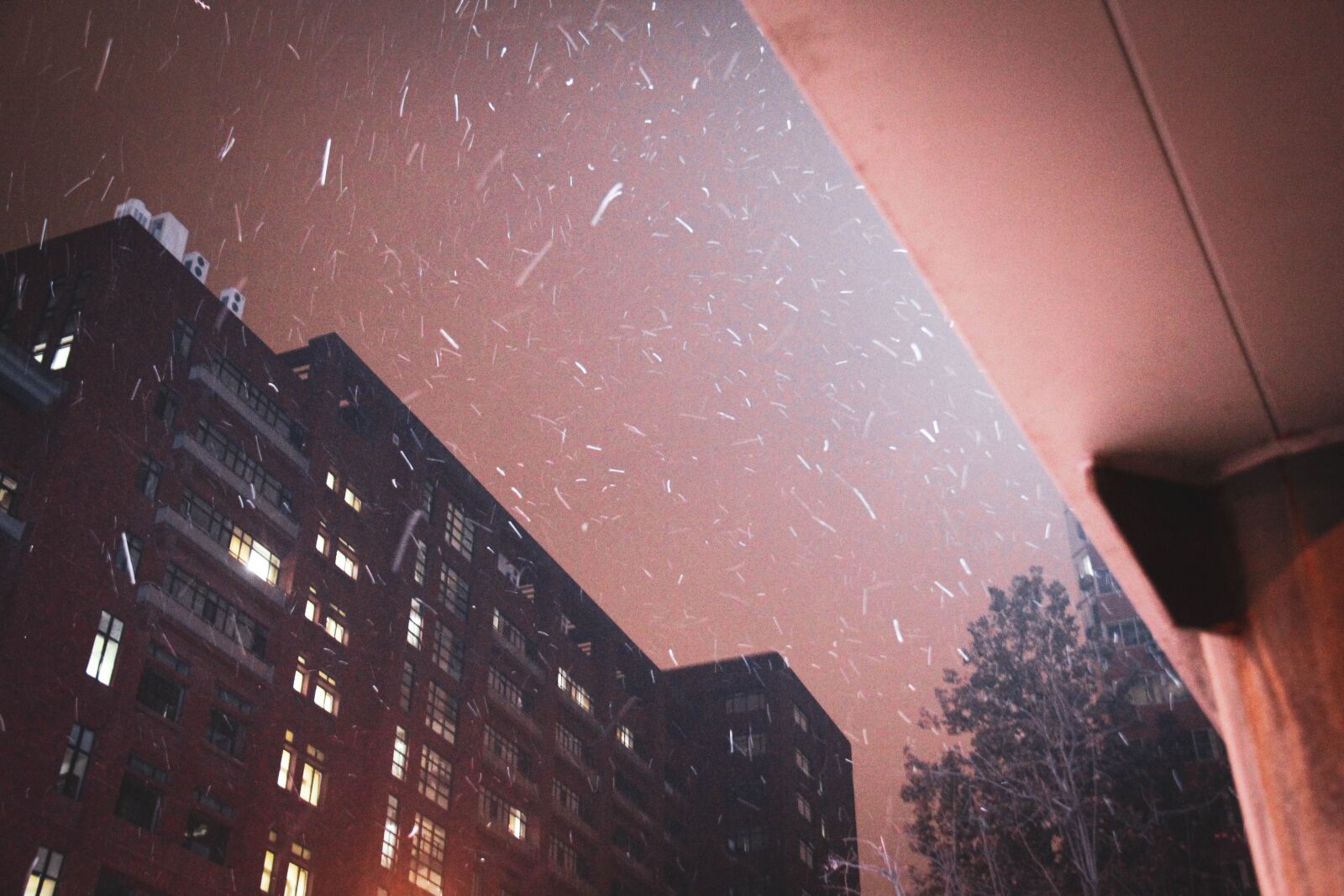 Canon EOS 60D sample photo. Snow, winter, cold photography
