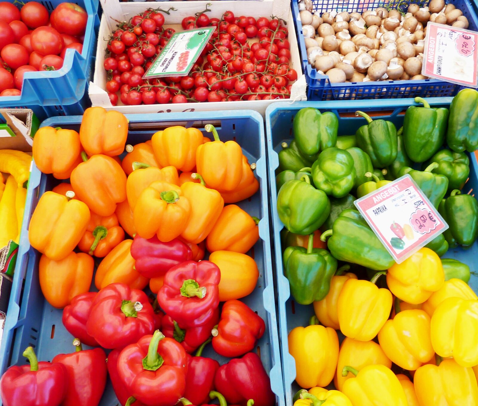 Panasonic DMC-TZ7 sample photo. Paprika, yellow, red pepper photography