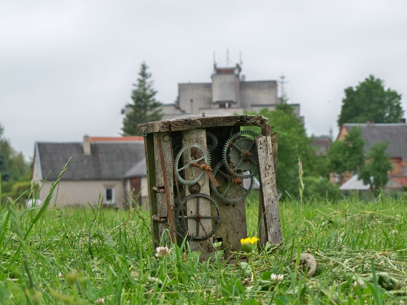 Kodak EASYSHARE Z950 DIGITAL CAMERA sample photo. Clock, summer, nature photography