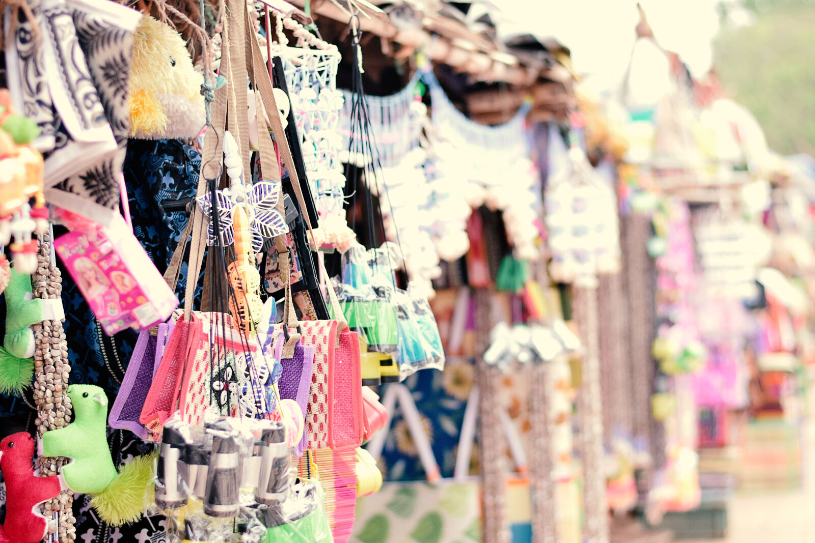 Nikon D3300 sample photo. Colours, of, india photography