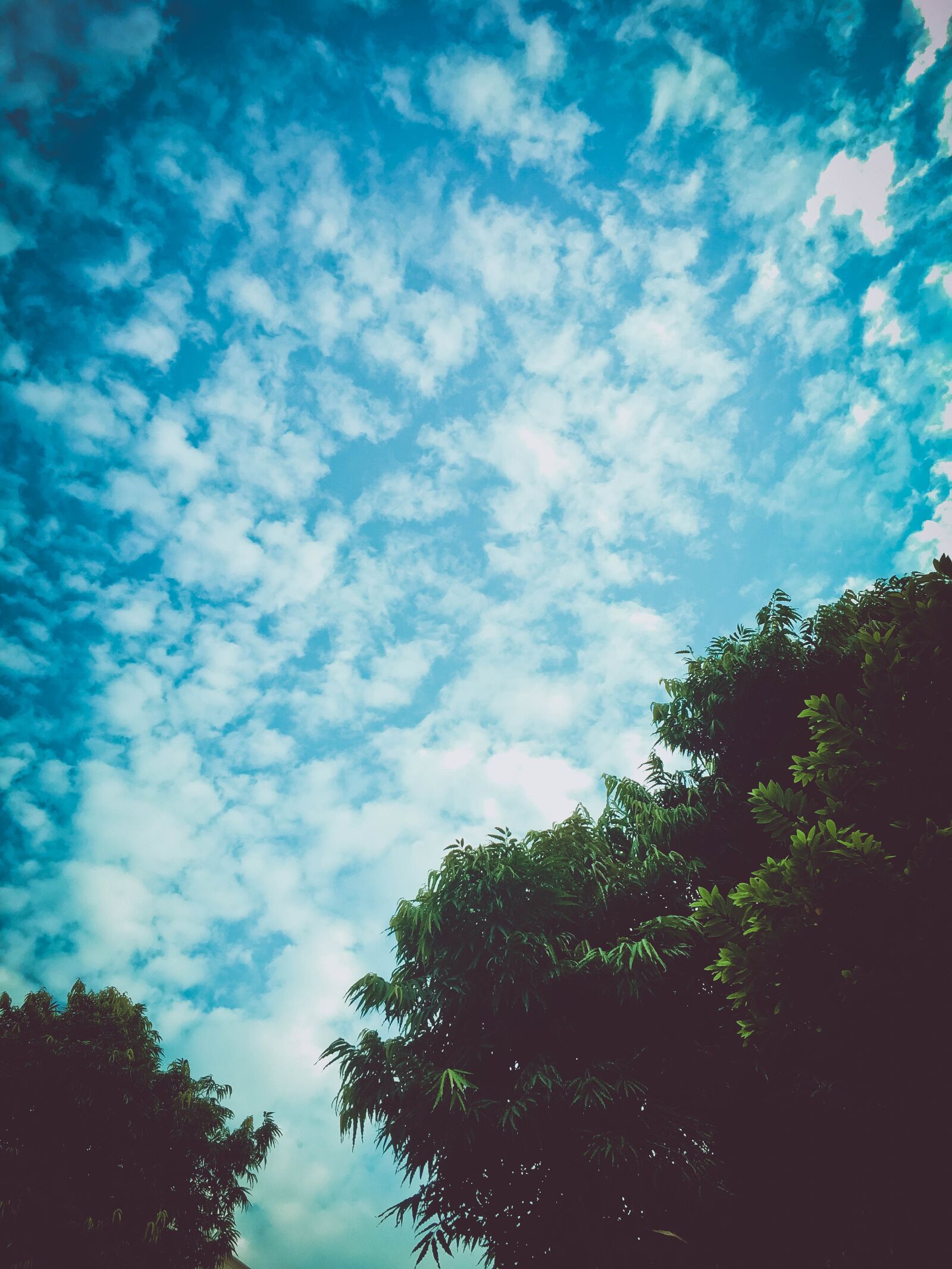 Apple iPhone 6s sample photo. Clouds, weather, natural photography