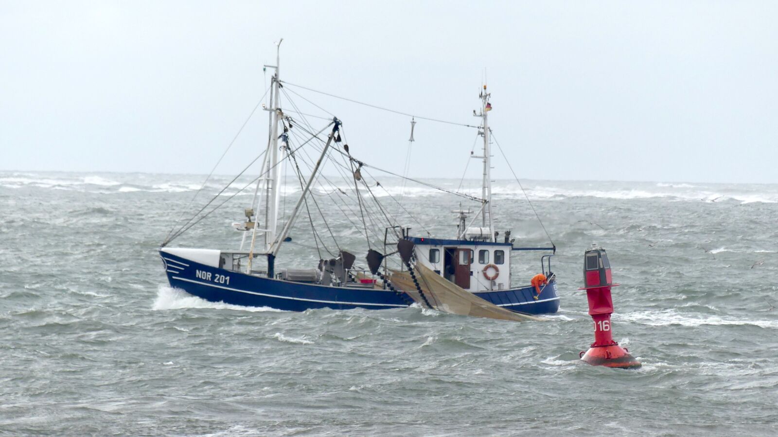 Panasonic Lumix DMC-FZ300 sample photo. Crab catcher, north sea photography