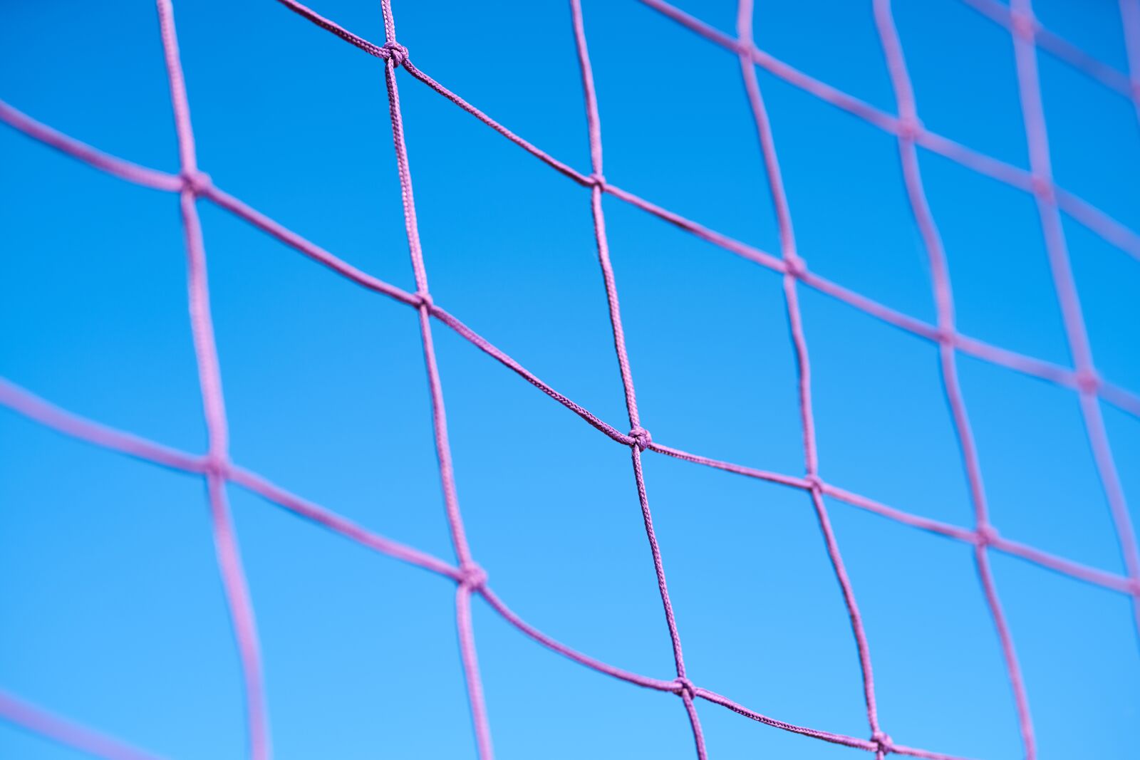 Sigma 85mm F1.4 DG HSM Art sample photo. Volleyball, file, network photography