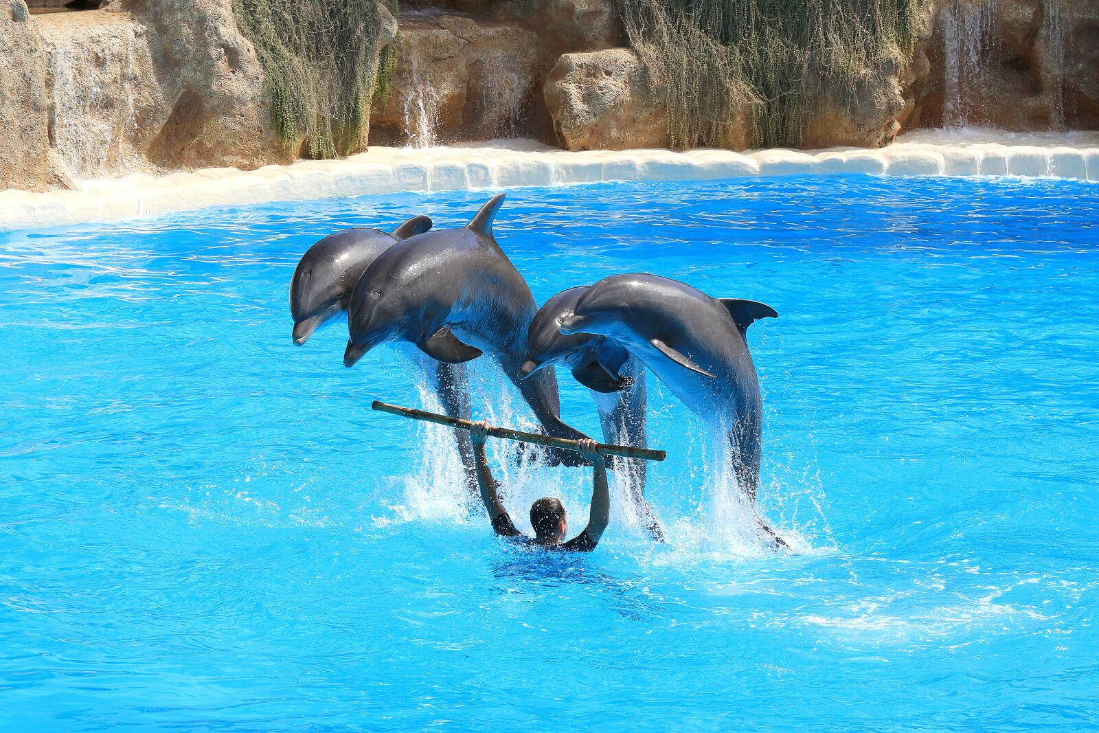 Canon EOS 7D Mark II sample photo. Dolphins, preview, delfin photography