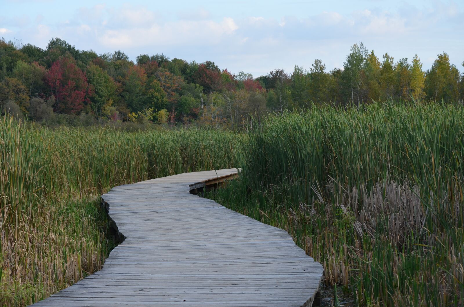 Nikon D5100 sample photo. Nature, body of water photography
