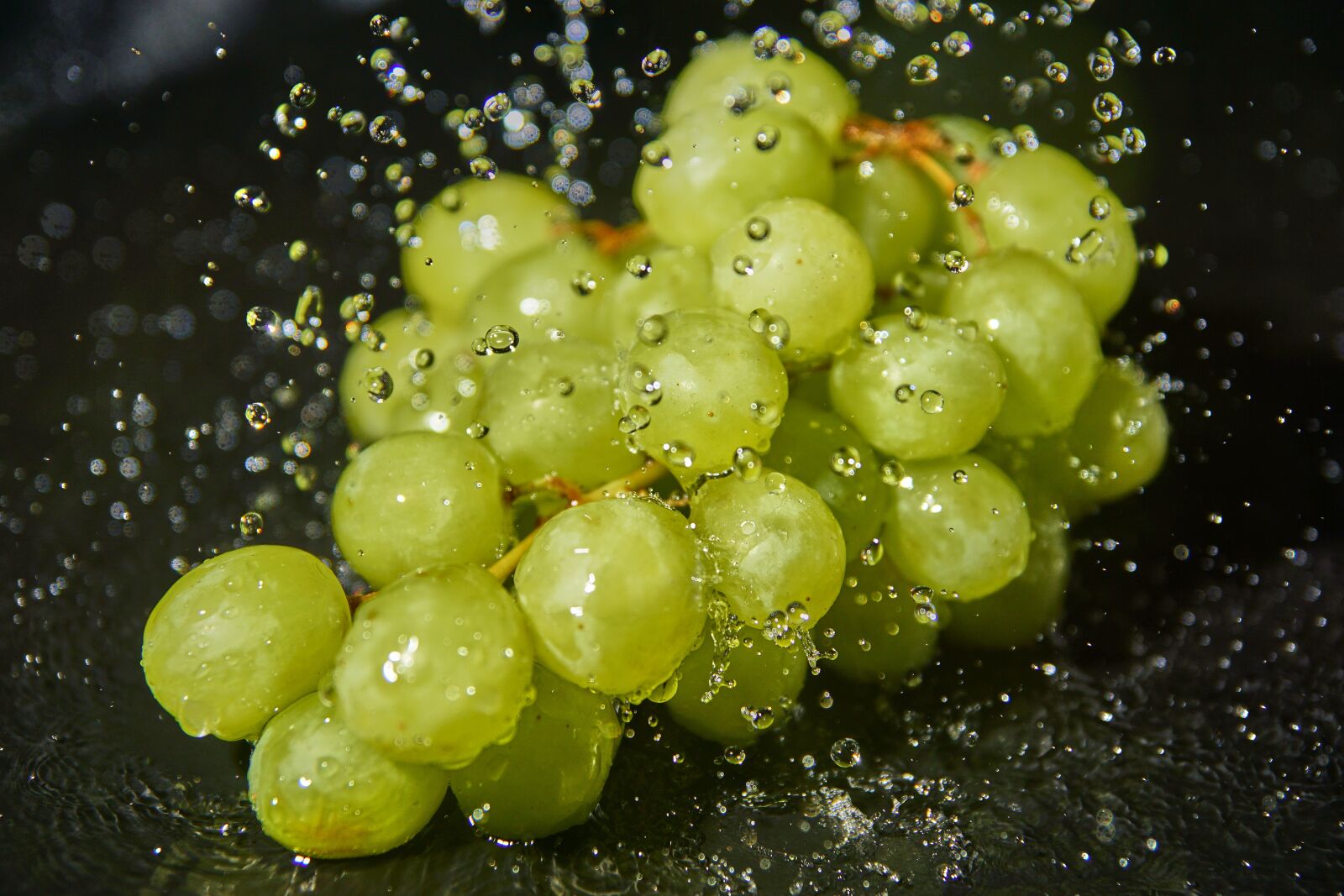 Sony ILCA-77M2 + DT 17-50mm F2.8 sample photo. Grapes, east, water photography