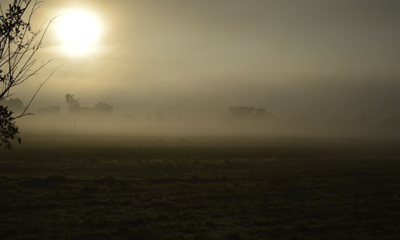 Nikon D3200 sample photo. Mist, dawn, autumn photography