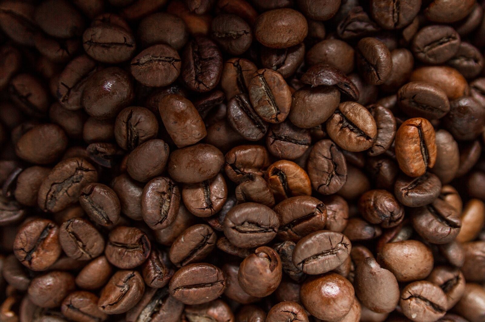 Canon EOS 7D sample photo. Coffee beans, roasted, brown photography