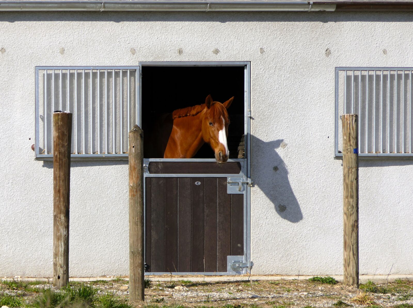 Panasonic Lumix DMC-FZ2500 (Lumix DMC-FZ2000) sample photo. Horse, stable, box photography