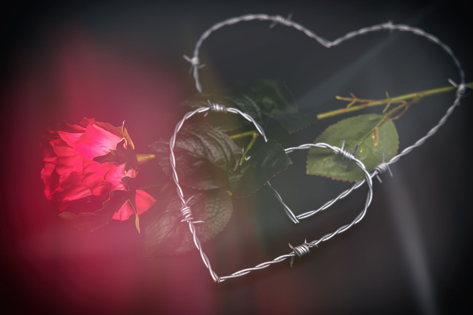 Fujifilm X-T2 + Fujifilm XF 35mm F2 R WR sample photo. Heart, love, romance photography