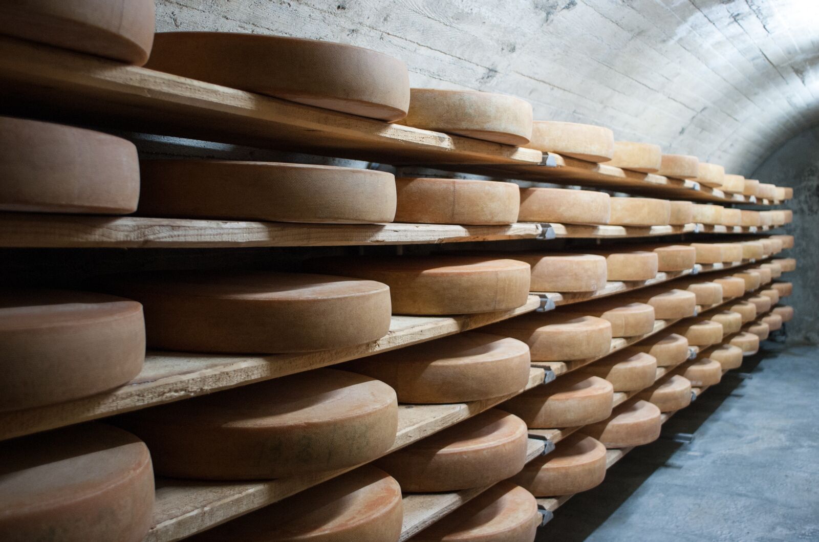 Nikon D200 sample photo. Cheese, keller, mountain cheese photography