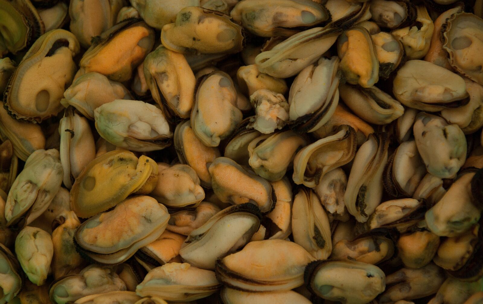 Pentax K10D sample photo. Seafood, mussels, crustaceans photography