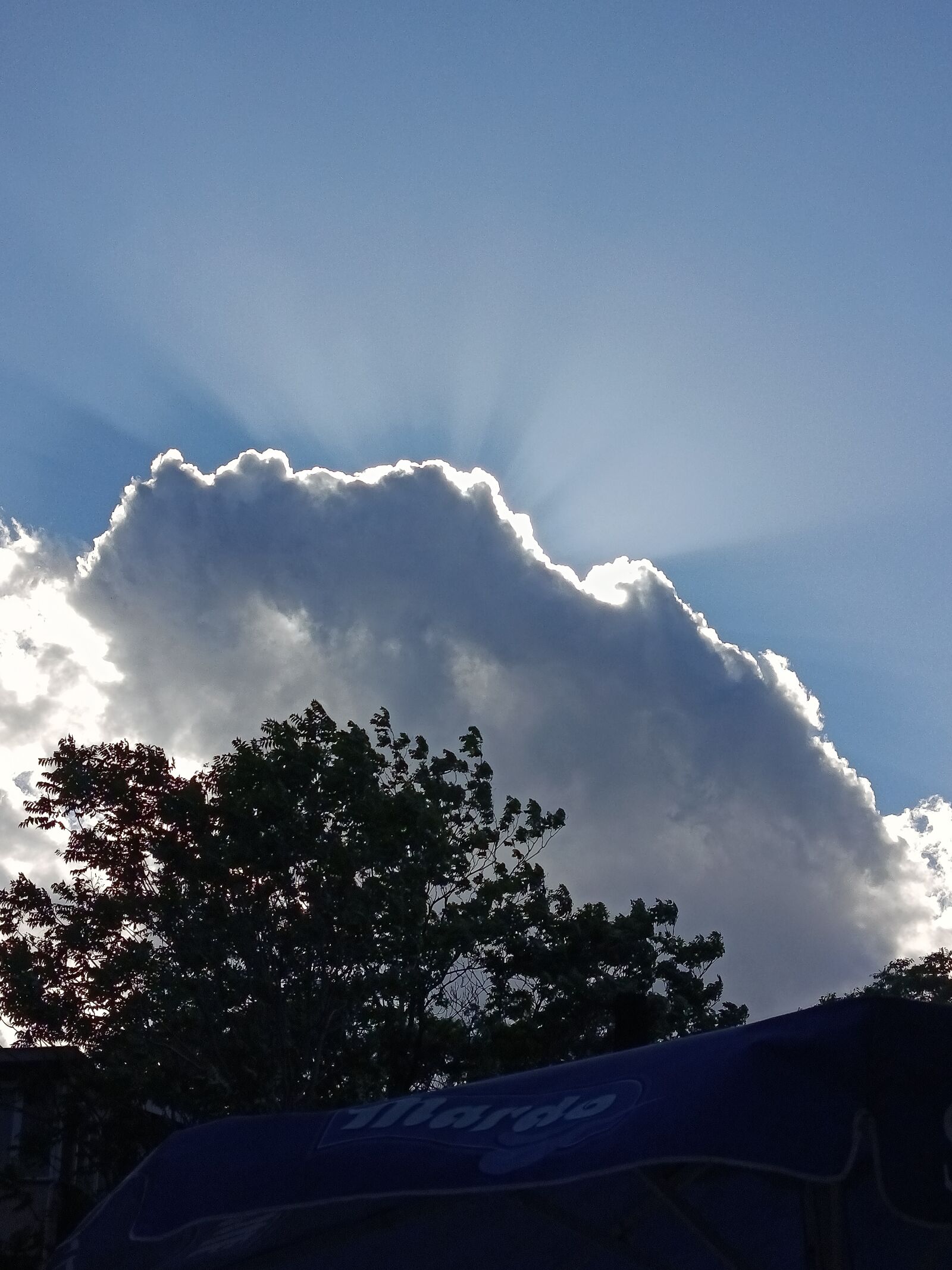 Xiaomi Redmi Note 14 sample photo