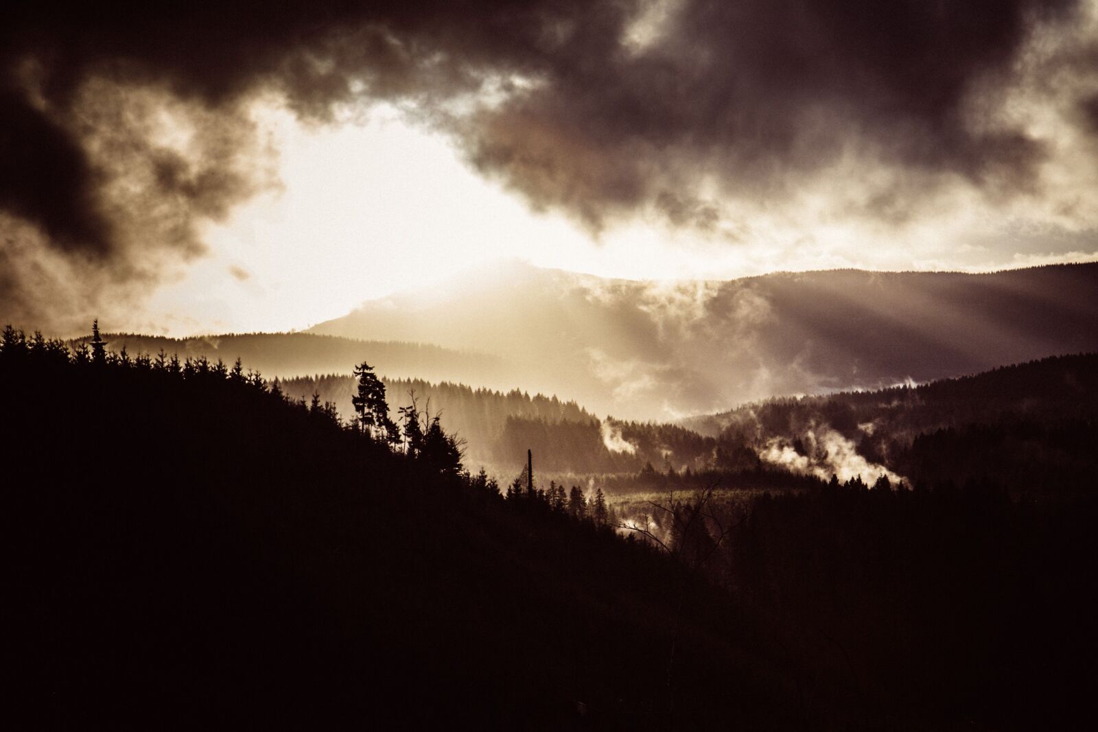 Canon EOS 60D sample photo. Forest, mountain, grass photography
